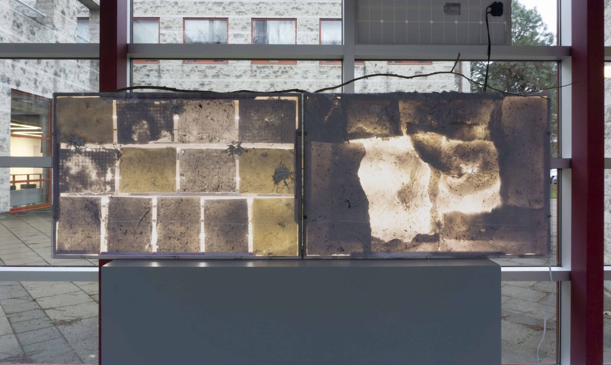 Detail of handmade paper on a lightbox atop a plinth in front of large windows. The paper is mounted to the lightbox in rectanglular sections of yellow and brown with lots of pulpy texture. 